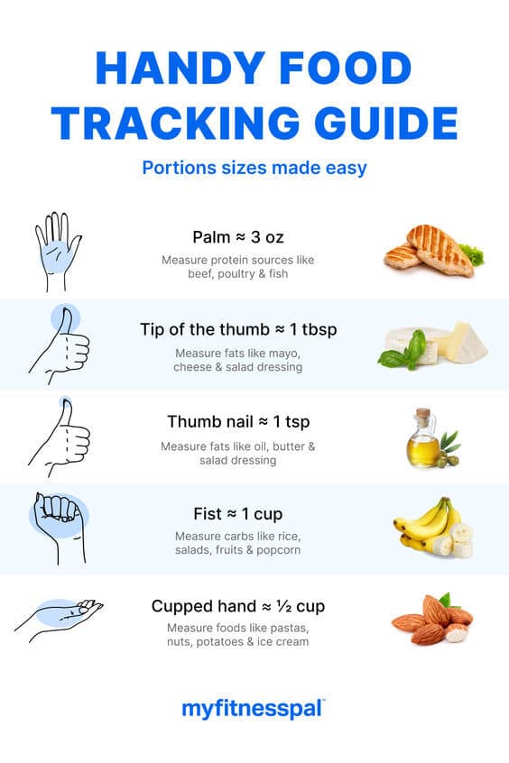 Handy Portion Size Guide infographic. It shows portion sizes related to hand measurements.